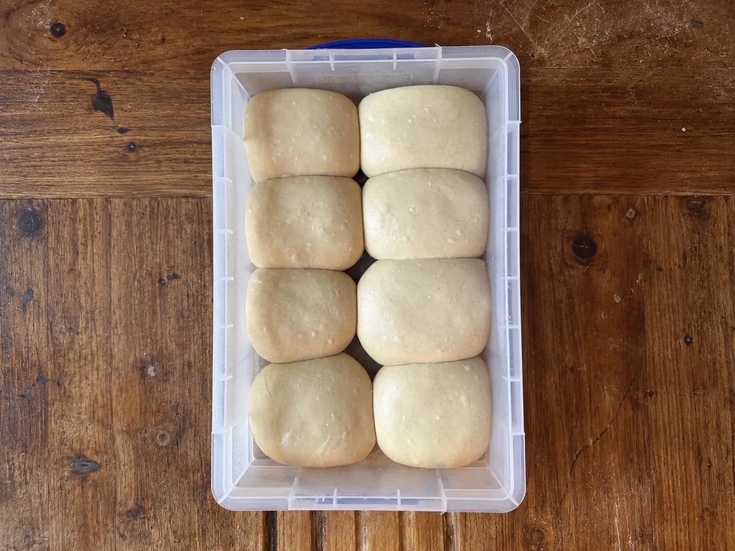 Dough ball box
