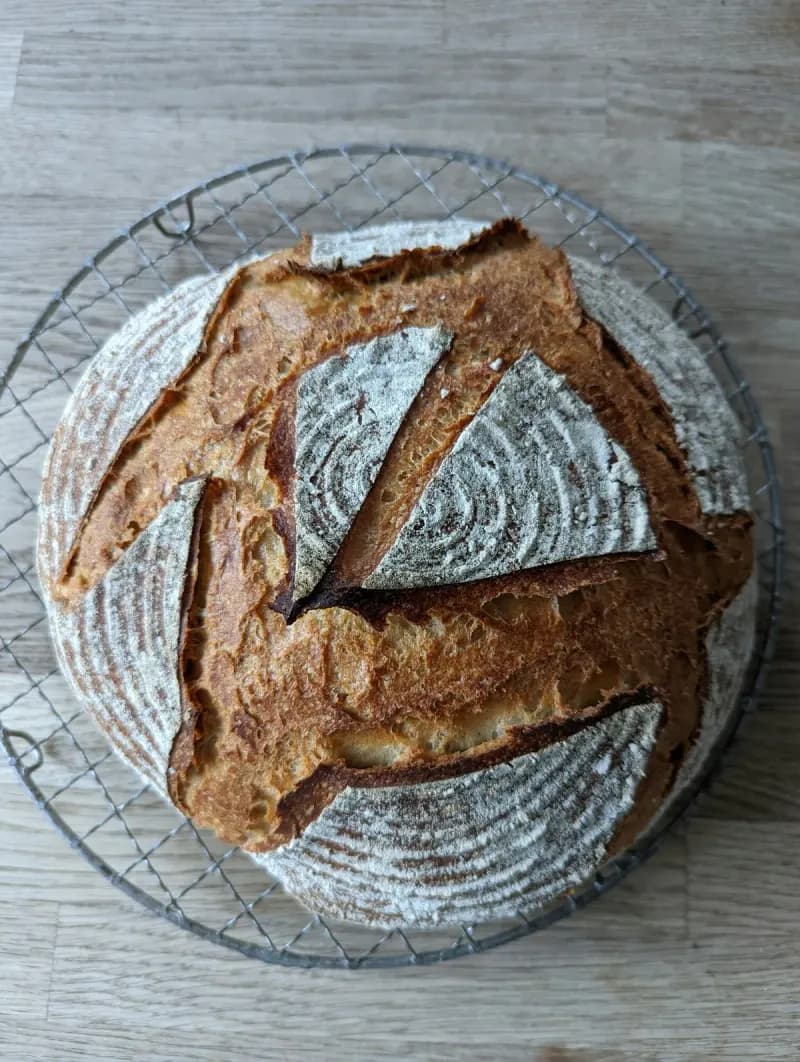 E5 Bakehouse - Sourdough baking class